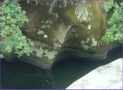 流れる水の働き　～斐伊川たんけんに行こう～　上流　岩がスプーンですくったように削り取られています　アイスクリームをすくったあとみたい　そのあとが連なってツメで引っかいたように見えます