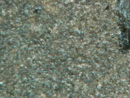 安山岩　顕微鏡（研磨面）