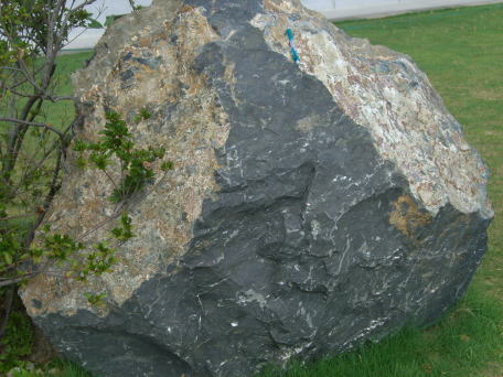 浜田市の原井小学校にある黄長石霞石玄武岩です。この小学校にはとってもすばらしい岩石園がありますよ。 