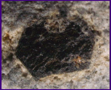 造岩鉱物　火山灰　黒雲母　有色鉱物　軽石に付着