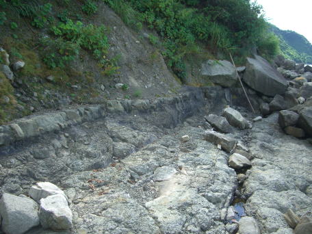 古浦層の模式地である古浦海岸です。タニシなどの化石がとれる場所です。その他の淡水生の貝化石もとれるようです。