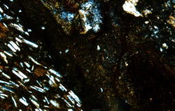 礫岩　偏向顕微鏡（クロス）