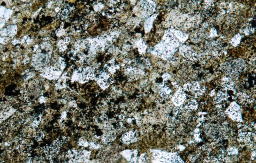砂岩　偏向顕微鏡（オープン）