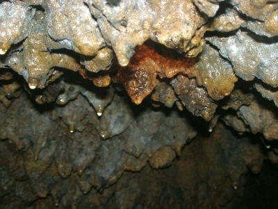 天井は竜渓洞の名のごとく、たくさんの竜の鱗や牙状になっている場所もあります。（溶岩がしたたり落ちた跡です）　大根島にはもう一つ溶岩トンネルがあります。溶岩トンネルは天然記念物に指定されています。