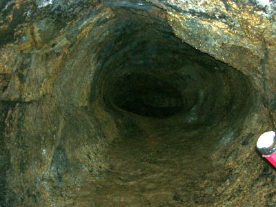 溶岩トンネルの中は真っ暗です。中にはごみ虫の仲間やヨコエビの仲間などが住んでいます。穴の高さは高いところで２ｍぐらいでしょうか？（歩くコースは１ｍ以上の高さはあったと思います）